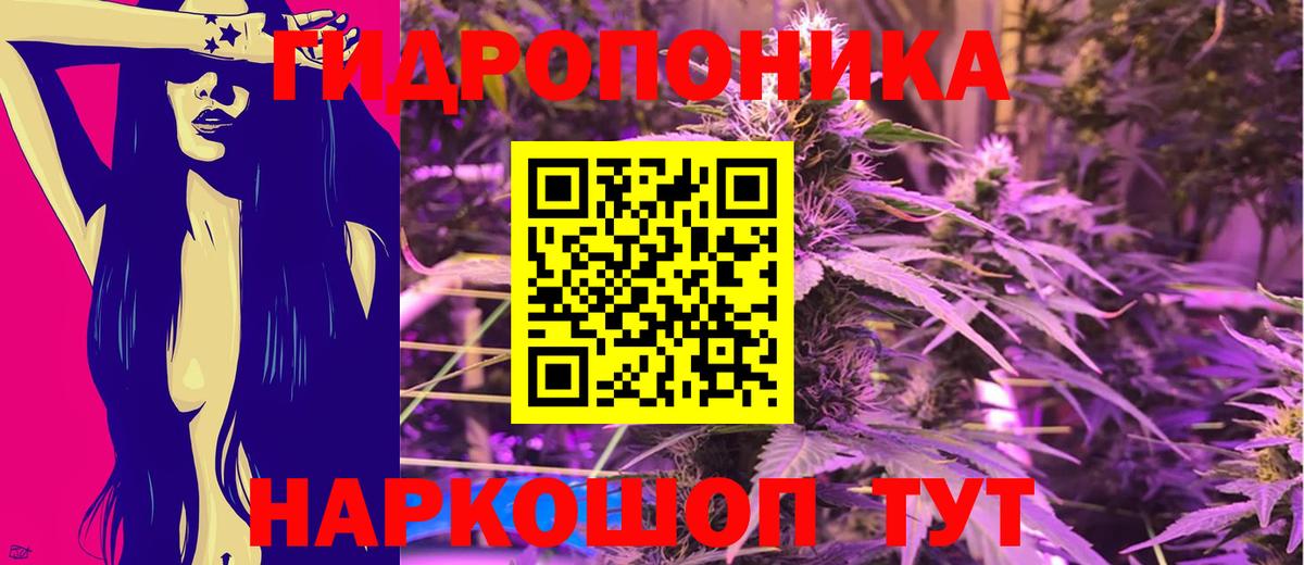 Канабис White Widow  Бошки марихуана OG Kush  Бошки Шишки марихуана  Марихуана планчик  Вход с VPN  Нижневартовск 